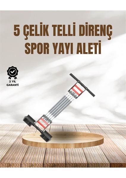 Msa-Shop Kol, Sırt, Göğüs ve Karın Kasları Için Profesyonel Antrenman Aparatı