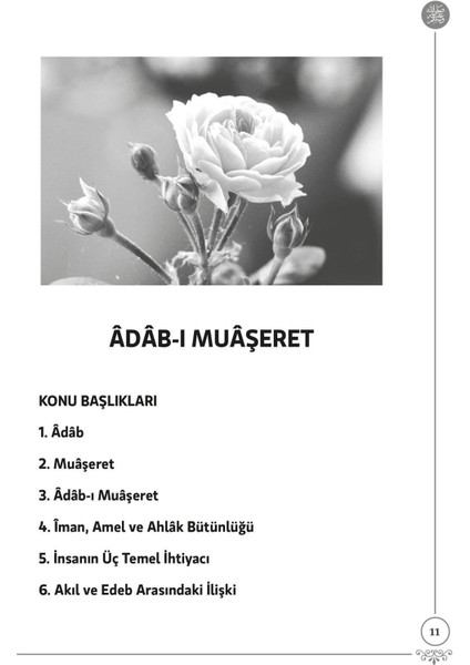 Adab-ı Muaşeret - Zehra Yolcu, Elif Telkeş fırsatları