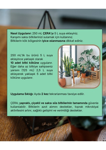 Cherry Mic Çera Bitki Besini modelleri