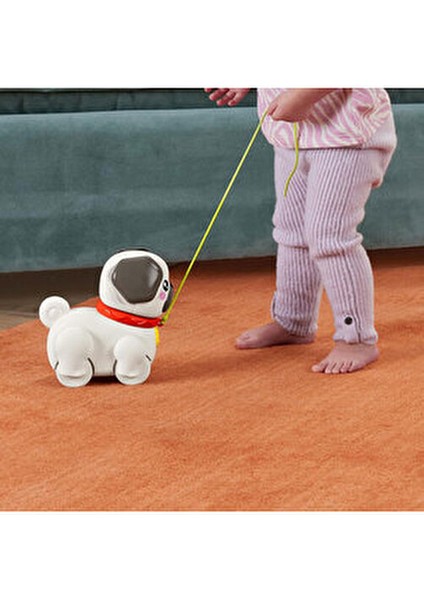 Sesli Minik Dostumla Yürüyüş Eğlenceli Çekçekli Köpek Oyuncağı 16,2 cm