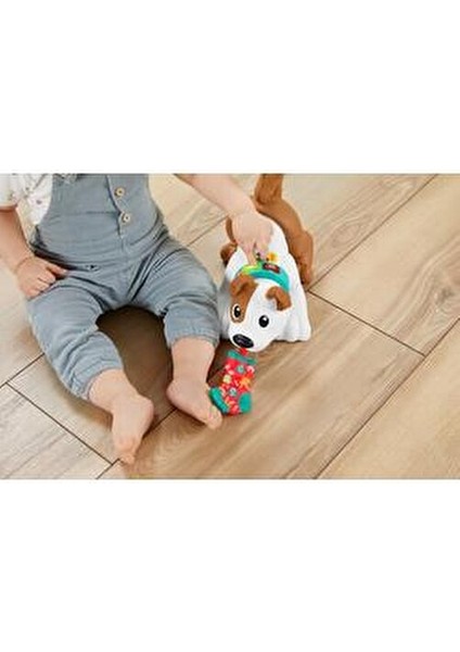 Emeklemeyi Öğreten Kahverengi Köpekçik Eğitici Oyun 0-24 Ay Plastik Malzeme