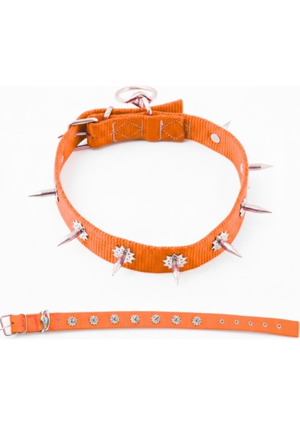 Dokuma Çivili Köpek Boyun Tasması - 4*70 cm - Turuncu