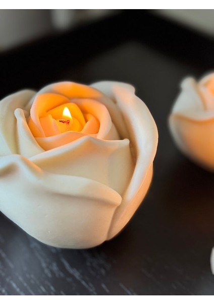Grand Rose