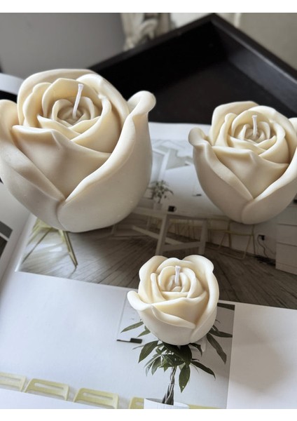 Grand Rose modelleri