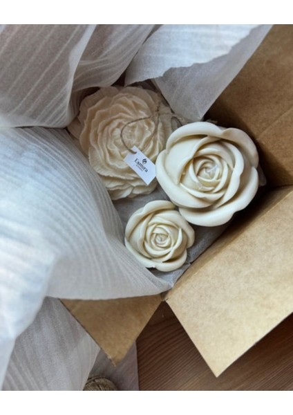 Grand Rose indirimleri