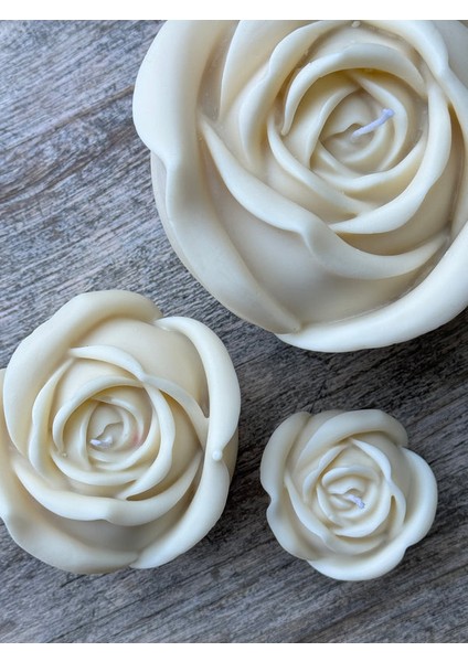 Grand Rose