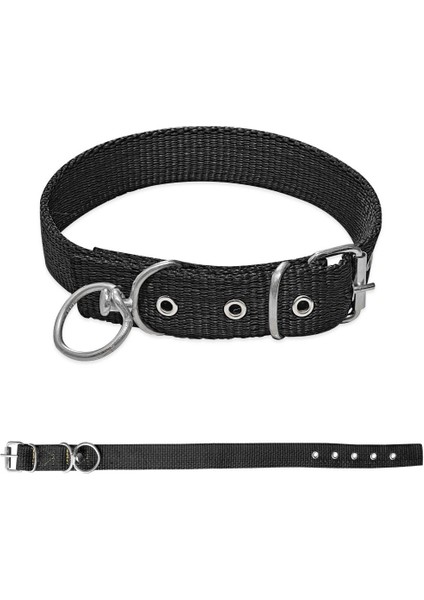 Savex Dokuma Köpek Boyun Tasması Siyah 2.5*50 cm