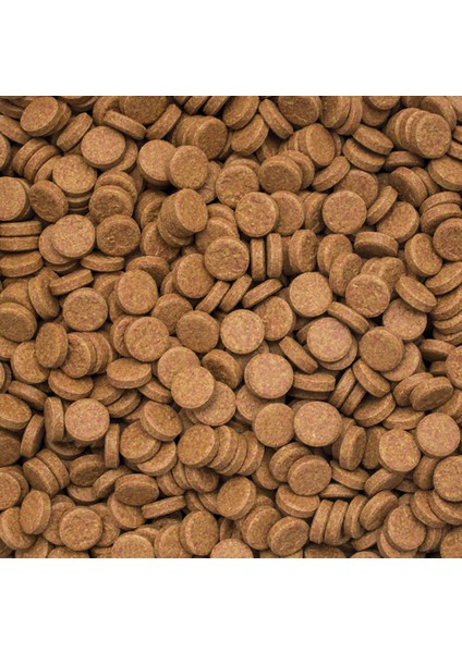 Vitality Color Tablets 250 Adet Balık Yemi