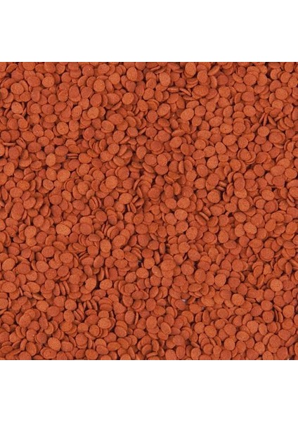 Krill Chips 1000 gr Kovadan Bölme