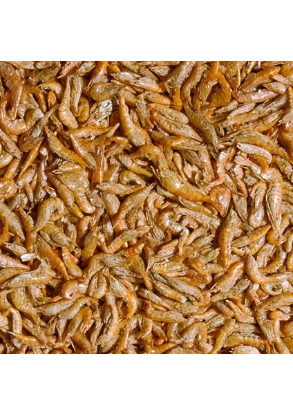 River Shrimps 500 gr Kovadan Bölme