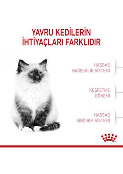 Kitten Yavru Kediler Için Kuru Kedi Maması 400g