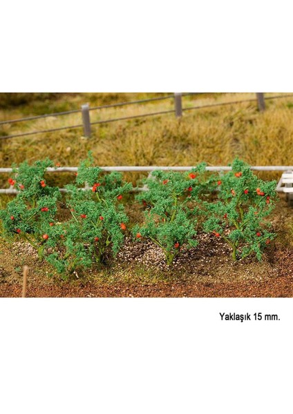 181259 Domates Fideleri, 18 Adet