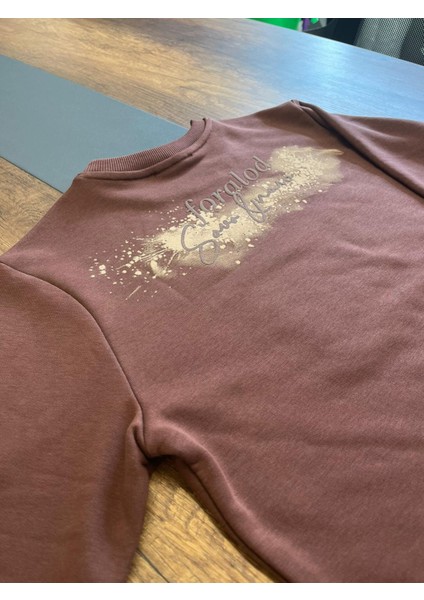 Kahverengi Erkek Sweatshirt fiyatları