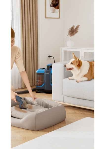 450W Çok Amaçlı Temizleyici, Halı, Koltuk ve Araç Içi Leke Temizleme Aracı fırsatları