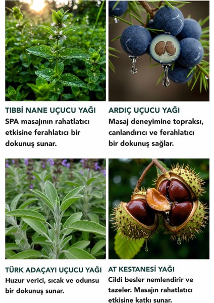 Nane - Ardıç Masaj Balmı 50 ml Rahatlatıcı & Ferahlatıcı Masaj Deneyimi modelleri