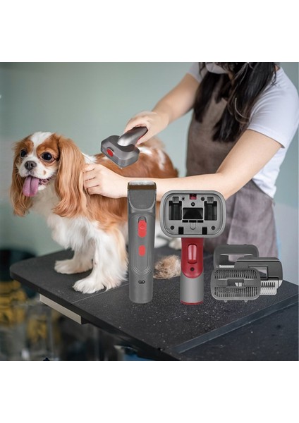 Evcil Hayvan Bakım Seti, Siyah, Uyumlu ve Pratik Kullanım Için Hazır fiyatları