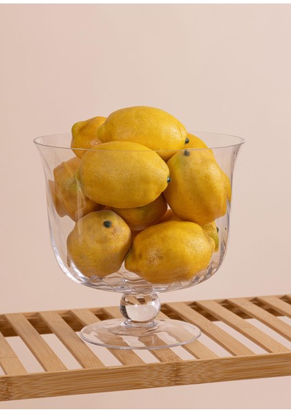 Cam Salata Kasesi 22X21 cm CAM0502 fiyatları