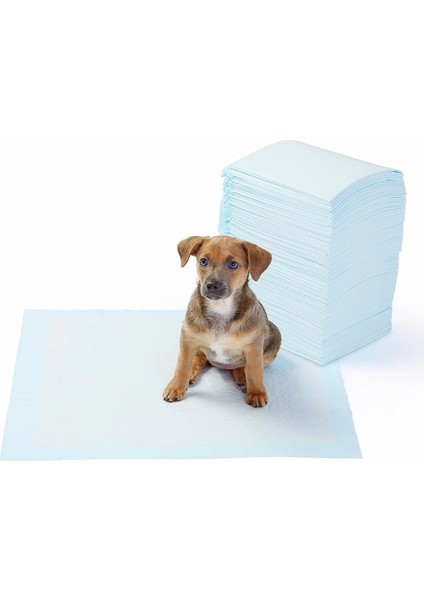 Yıkanabilir Köpek Çiş Pedi - 100 x 100 cm 5li Paket modelleri