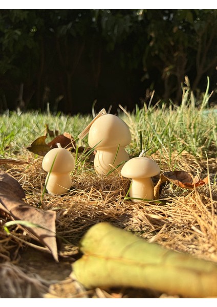 Mushroom Trio