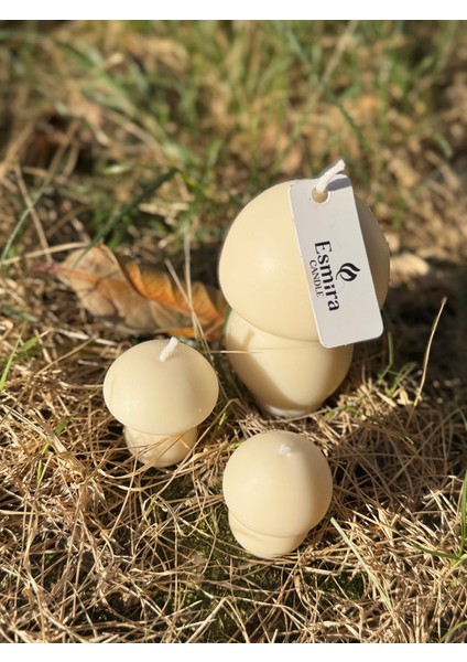 Mushroom Trio modelleri