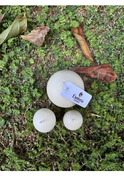 Mushroom Trio indirimleri