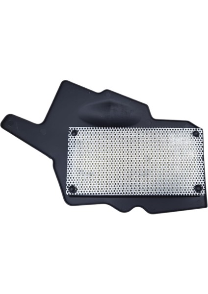 Hava Filtresi Tvs Raider 125