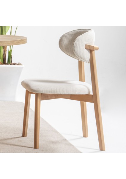 S03 Yemek Sandalyesi