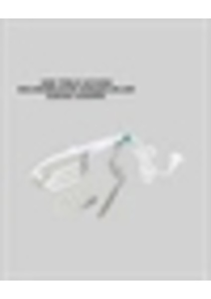 Pratik Taşınabilir Buharlı Ütü, Hızlı Isınma ve Aksesuar Seti ile Kullanıma Hazır fiyatları