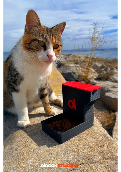 Otomatik Kedi Mama Kabı DocoxPet fiyatları