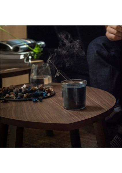 Fruktskog Bardakta Kokulu Mum Siyah Turkuaz 20 Saat Güve Otu ve Sardunya indirimleri