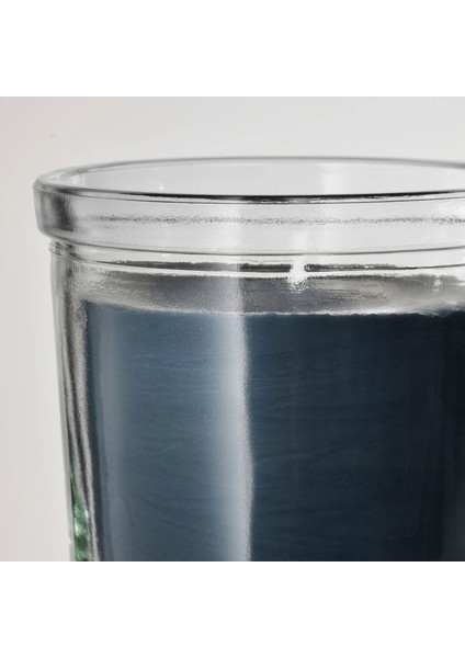 Fruktskog Bardakta Kokulu Mum Siyah Turkuaz 20 Saat Güve Otu ve Sardunya