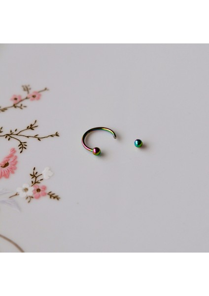Hologram Renk Cerrahi Çelik Toplu Piercing 10 mm Helix Lob Conch Daith