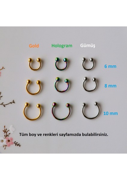 Hologram Renk Cerrahi Çelik Toplu Piercing 10 mm Helix Lob Conch Daith