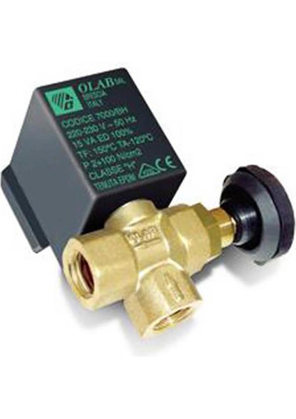 Turuncu Kazanlı Ütü Için 1/4'' Ayarlı Solenoid Valf
