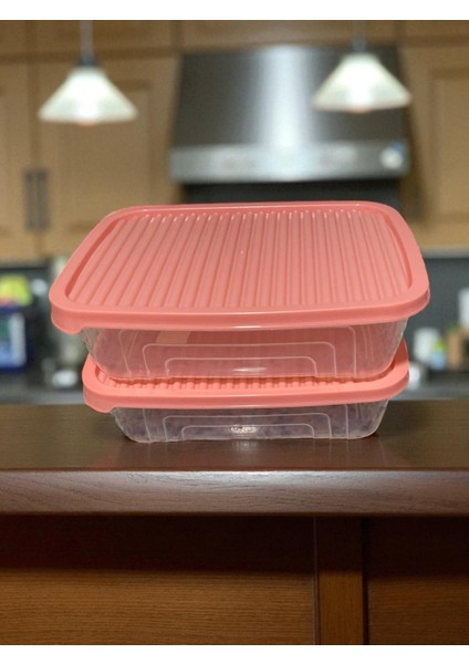 2'li Pudra Pembe Saklama Kabı / Şeffaf / Plastik /renkli Kapak