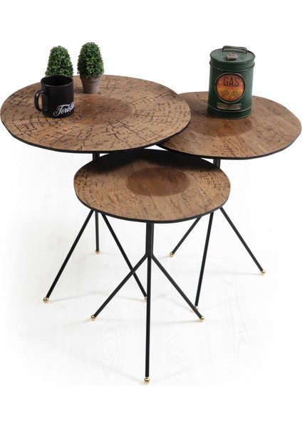 Twist Zigon Sehpa fiyatları