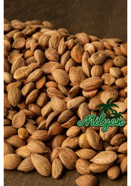 Acı Kayısı Çekirdeği Içi Işlem Görmemiş Doğal 250GR