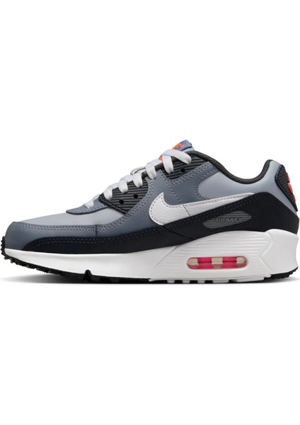 Air Max 90 Sneaker Ayakkabı (Dar Kalıp)