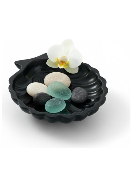 Istiridye Kabuğu Formlu Tabak-Siyah fiyatları