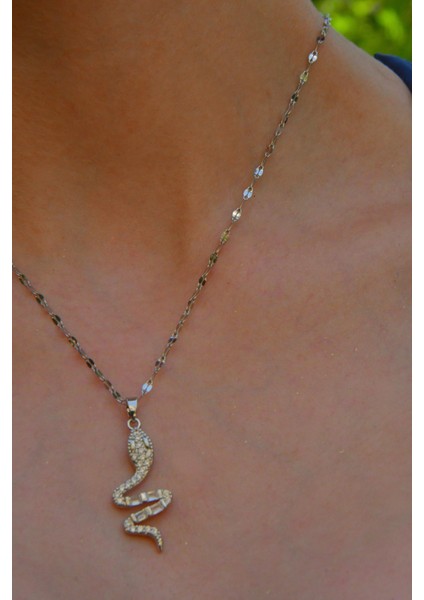 Zirkon ve Baget Taşlı Yılan Figürlü Kadın Çelik Kolye fırsatları