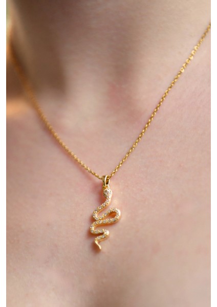 Zirkon Taşlı Yılan Figürlü Kadın Çelik Kolye fırsatları