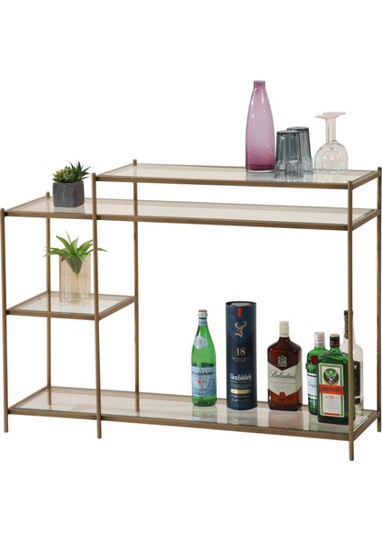 Dani Dresuar modelleri