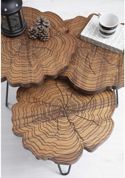 Kutuk Zigon Sehpa modelleri