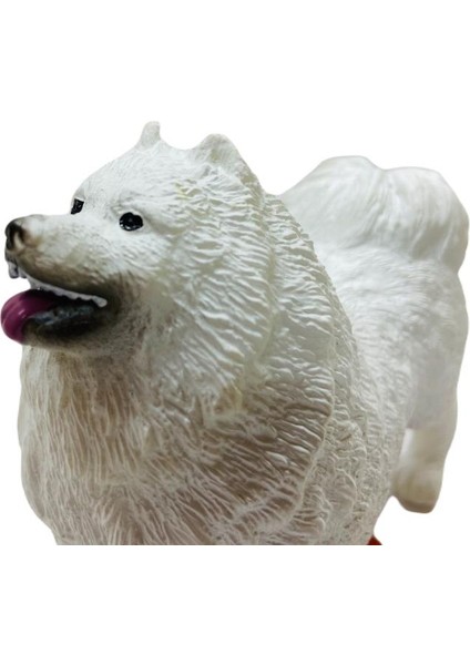 Soft Köpekler - Samoyed Cinsi Köpek - E013 (Lisinya) modelleri
