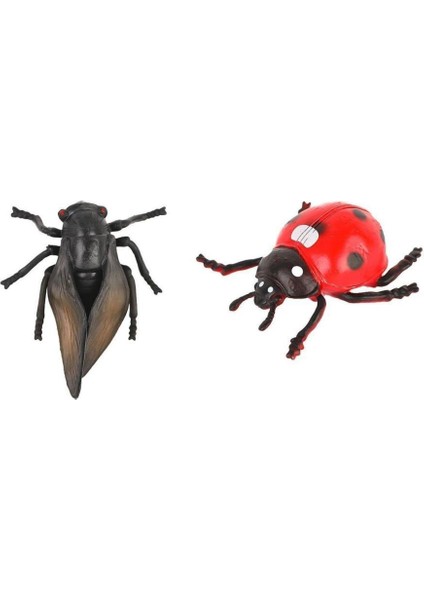 714K-4 - Böcekler Poşette (Lisinya) fiyatları