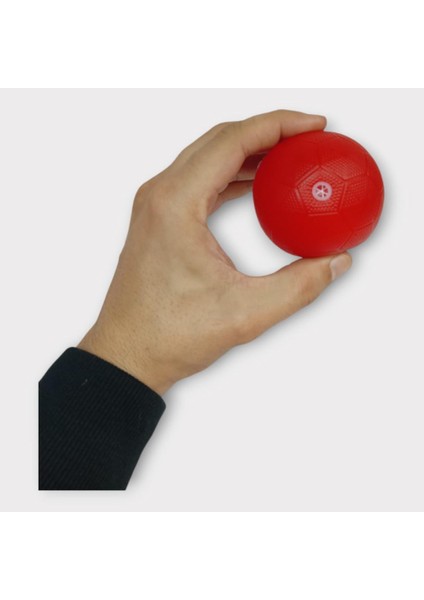 Köpek Oyuncağı - Plastik Düdüklü Top - Kırmızı (Lisinya)