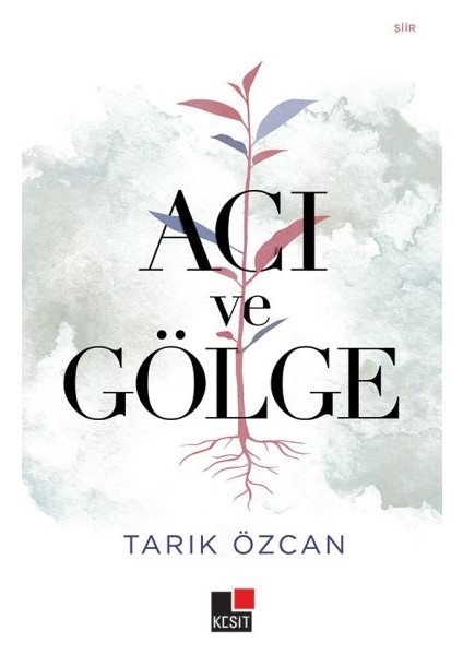 Acı ve Gölge