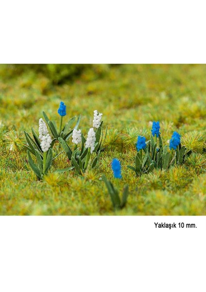 181265 Sümbül Çiçekleri, 32 Adet