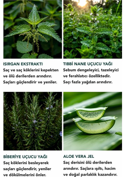 Detoks Saç Maskesi - Kepek ve Yağdan Arındırıcı, Temizleyici, Dinlendirme Etkili 50 ml modelleri