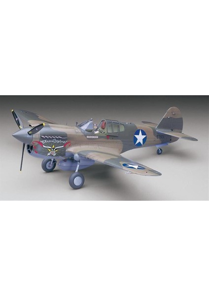 ST29 8879 1/32 Ölçek, P-40E Warhawk, Savaş Uçağı Plastik Model Kiti fiyatları